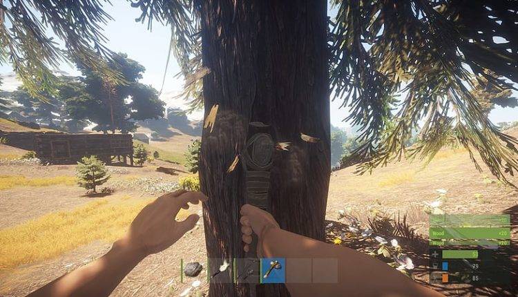 La sortie de Rust sur PS4 confirmée pour 2020