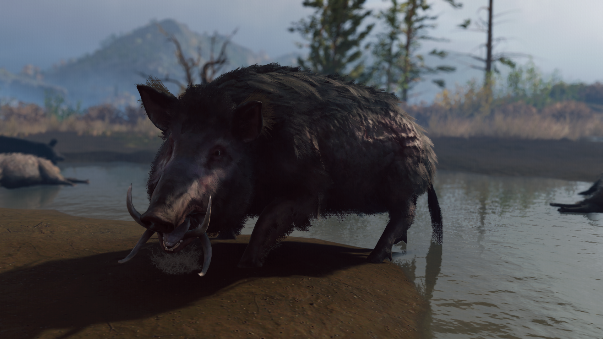 Résultat de recherche d'images pour "le sanglier de calydon assassin's creed odyssey photo"
