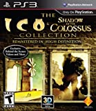 Ico and Shadow of the Colossus Collection PS3 [import US] (Jeu en Francais)